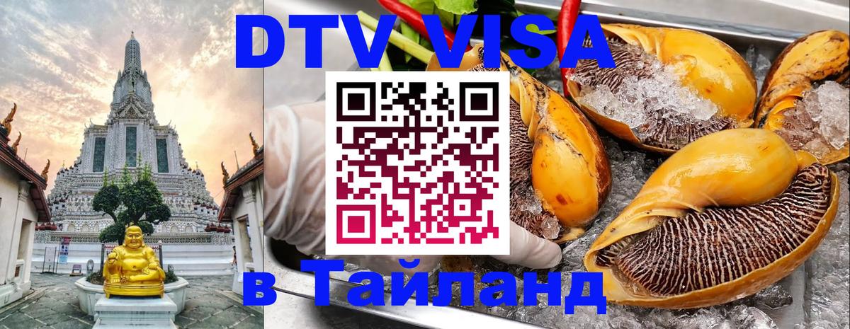 Сколько стоит DTV виза — актуальные цены, оформление даже без документов - Махачкала 